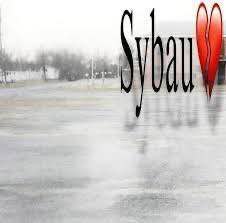 sybau